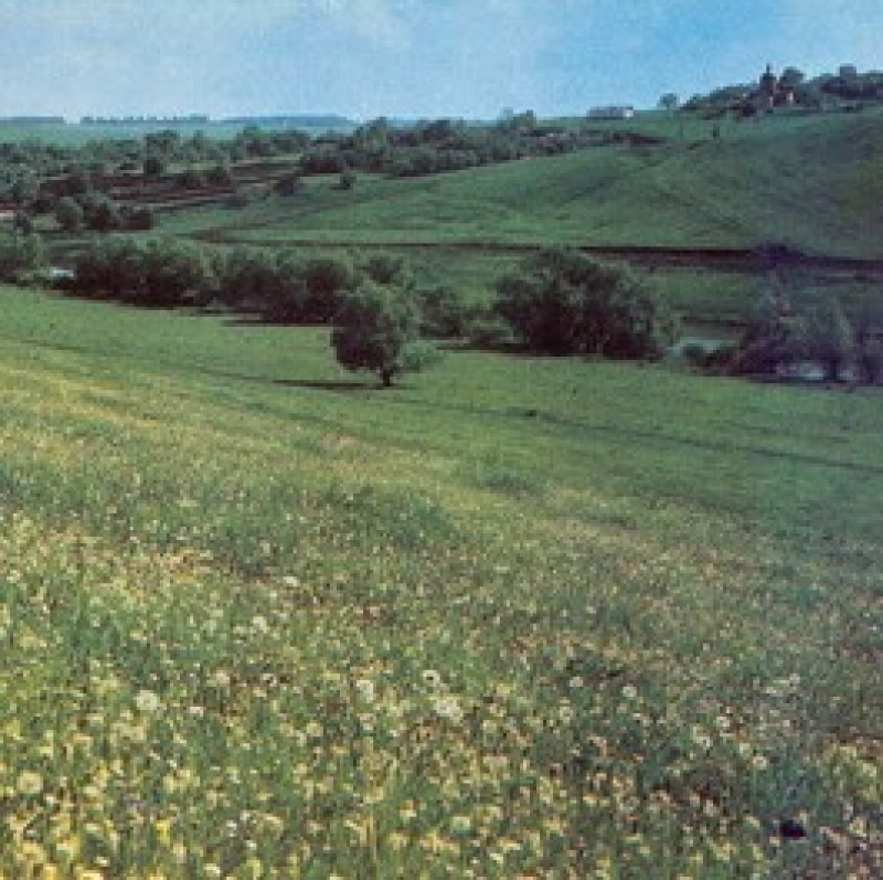 И. С. Тургенев. «Касьян с Красивой Мечи». 6 класс